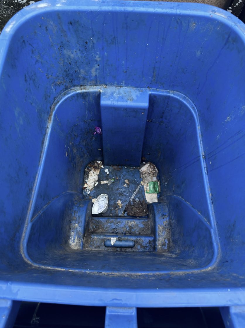 Bin Cleaning before