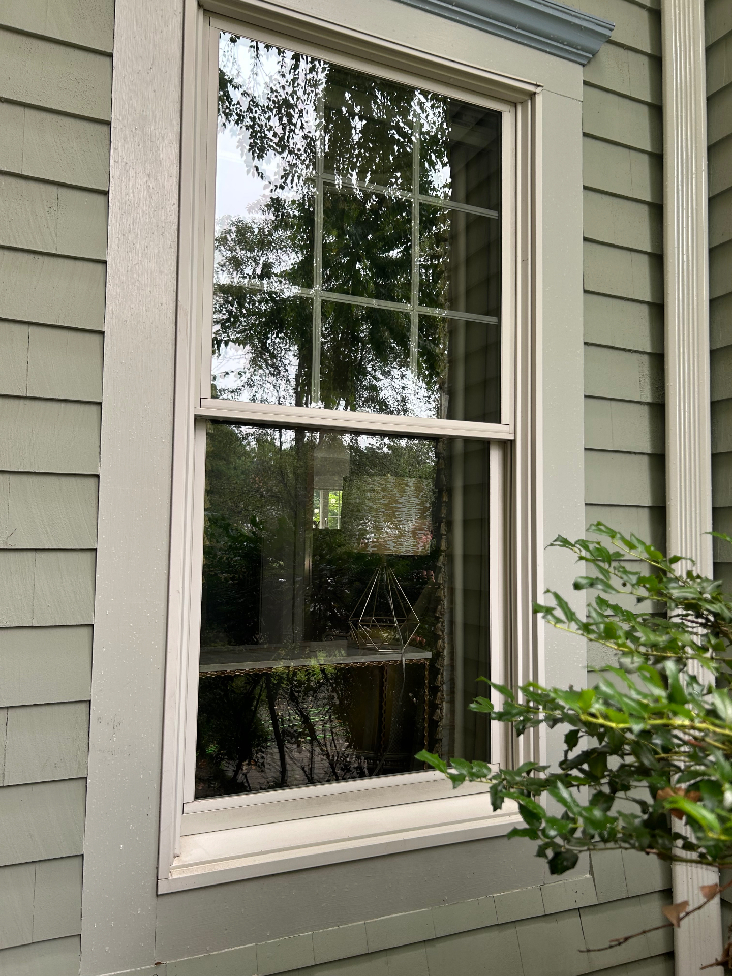 Window Cleaning — after