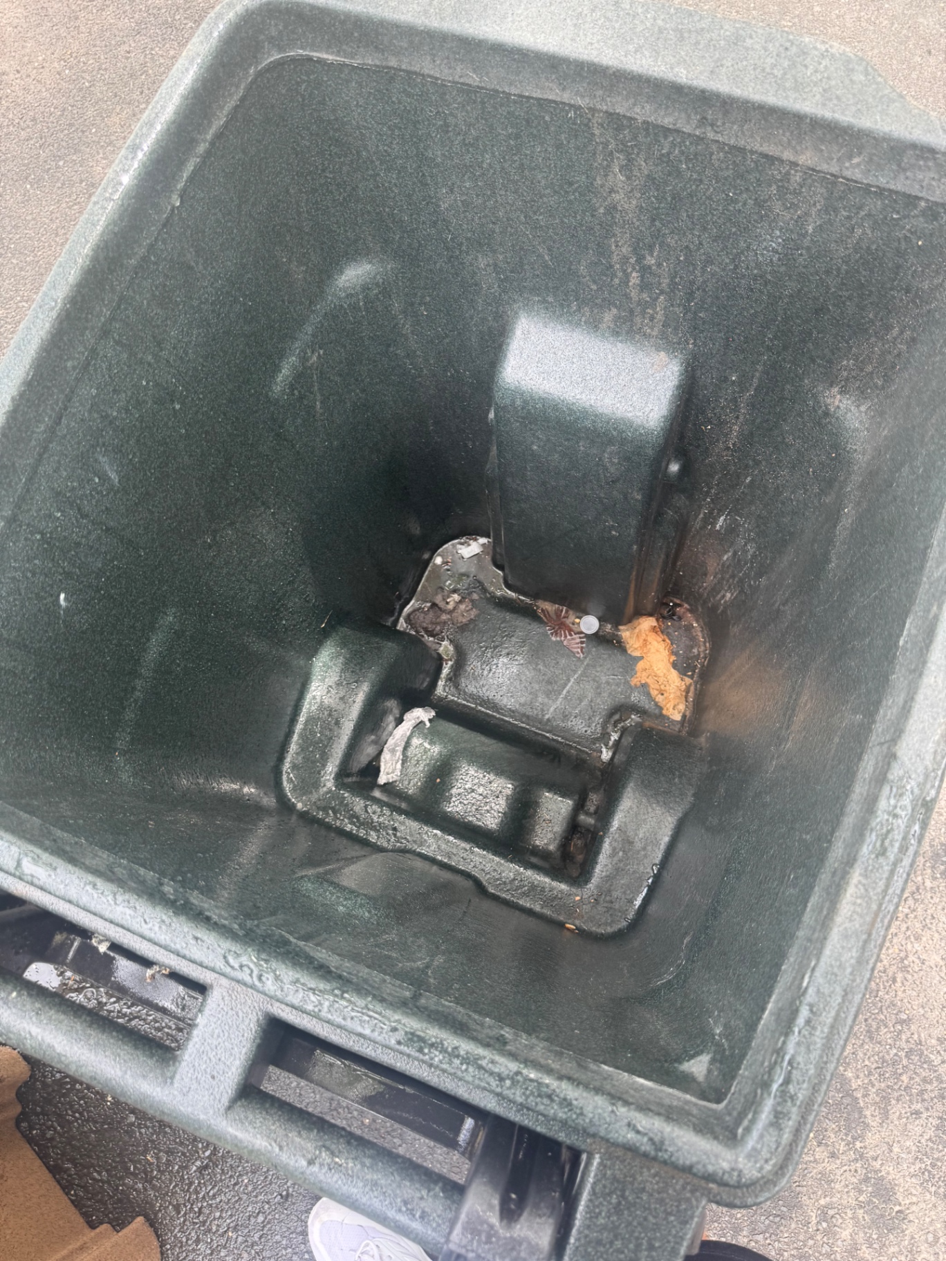 Grime-Free Green Bin — Before