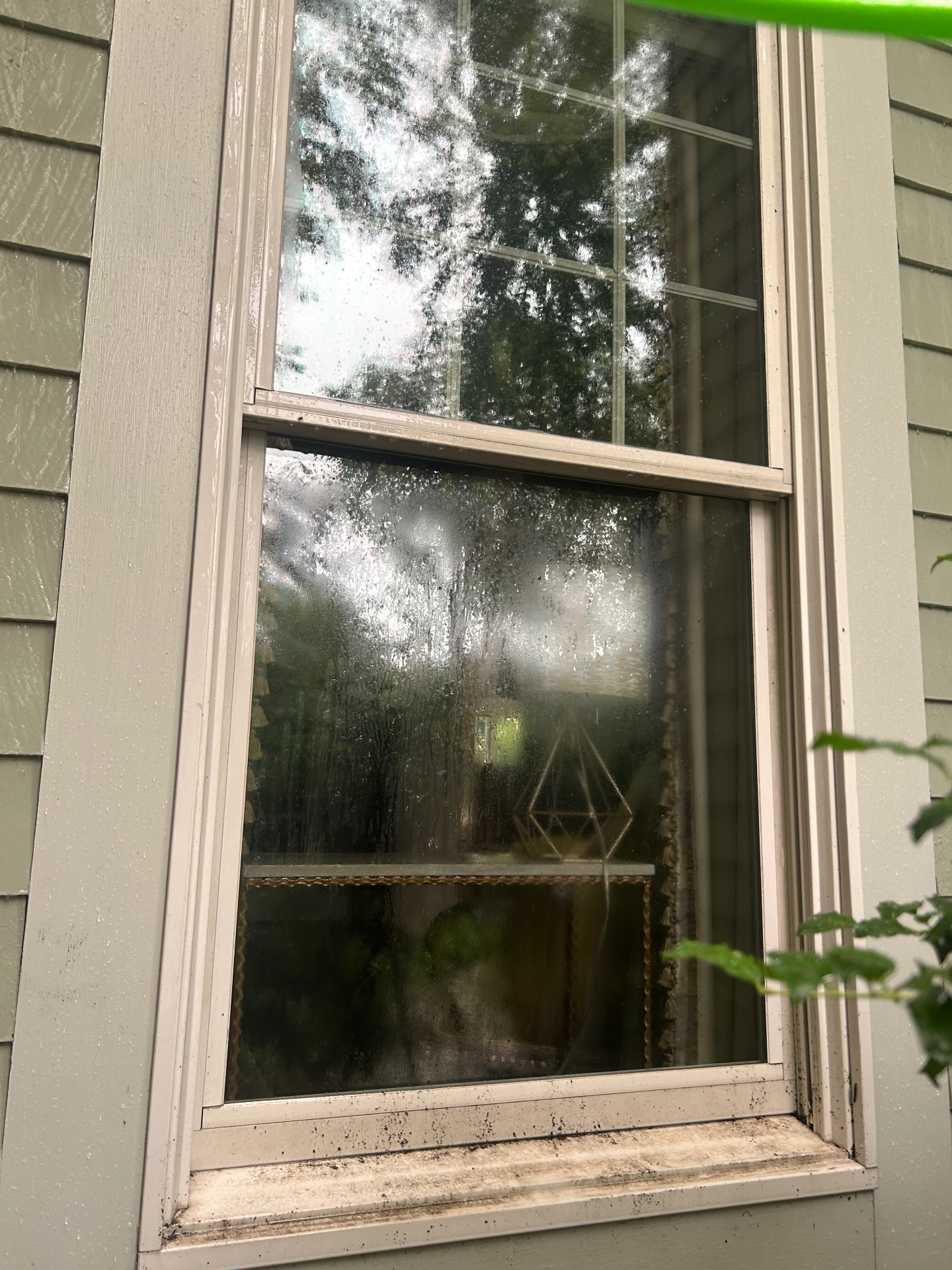 Window Cleaning — before
